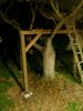 Filename=treehouse2.jpg
Filesize=74KB
Dimensions=600x800
Date added=Feb 22, 2007 treehouse2.jpg