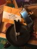 Filename=IMG_3654.jpg
Filesize=66KB
Dimensions=600x800
Date added=Dec 21, 2017 IMG_3654.jpg