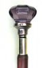 Filename=Head_of_cane.jpg
Filesize=42KB
Dimensions=377x600
Date added=Jan 07, 2009 Head_of_cane.jpg