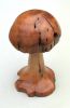 Filename=Wormy_walnut_mushroom.jpg
Filesize=61KB
Dimensions=394x600
Date added=Jan 07, 2009 Wormy_walnut_mushroom.jpg