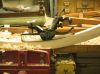 Filename=#113-Compass-Plane-on-Work.jpg
Filesize=83KB
Dimensions=800x596
Date added=Jul 28, 2009 #113-Compass-Plane-on-Work.jpg