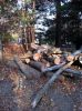 Filename=lumber_sm.jpg
Filesize=149KB
Dimensions=597x800
Date added=Nov 02, 2013 lumber_sm.jpg