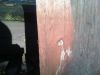 Filename=Mystery_Wood.jpg
Filesize=60KB
Dimensions=800x600
Date added=Nov 02, 2011 Mystery_Wood.jpg